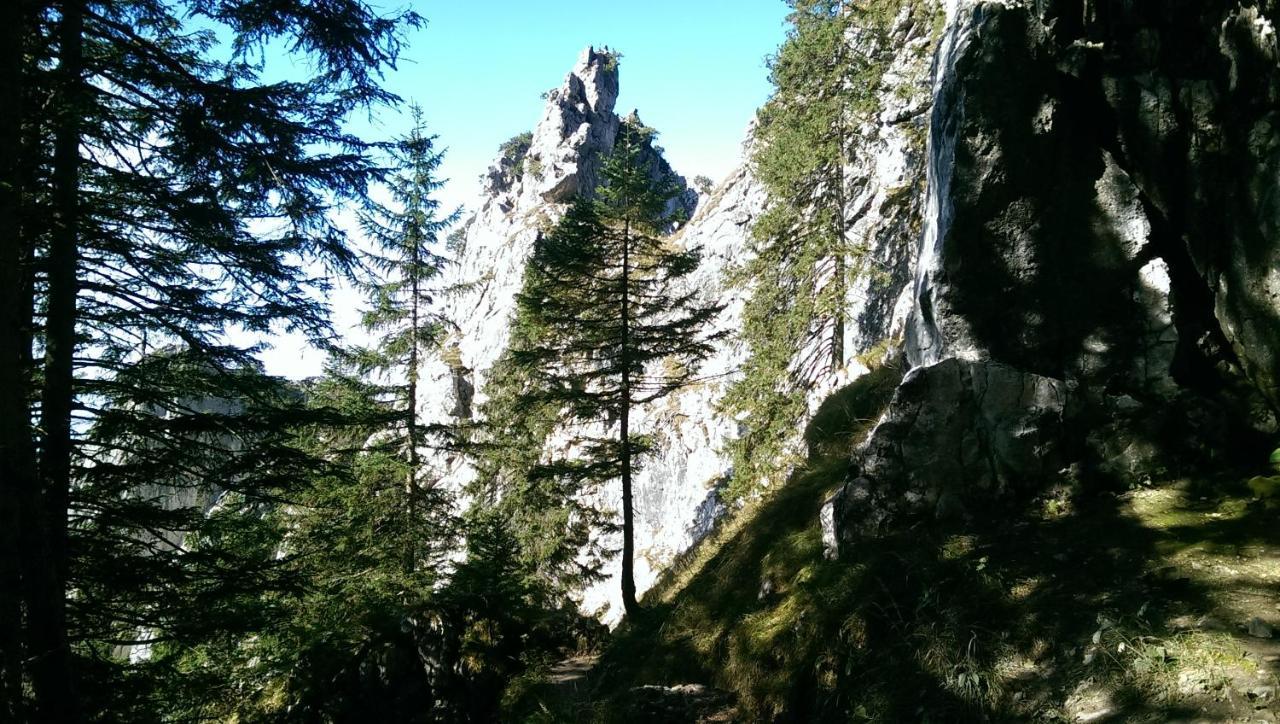 Füssen Fw Weissensee 44 מראה חיצוני תמונה