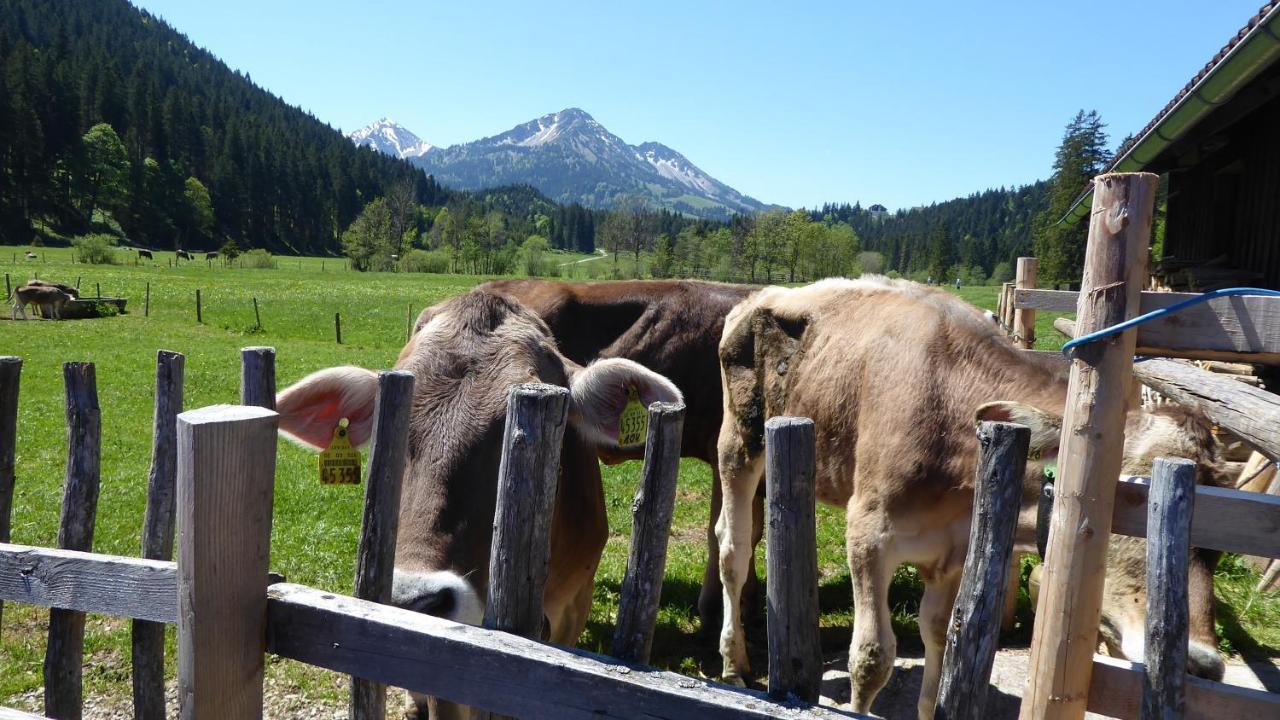 Füssen Fw Weissensee 44 מראה חיצוני תמונה