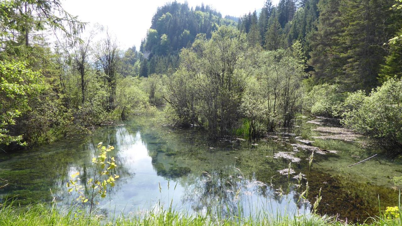 Füssen Fw Weissensee 44 מראה חיצוני תמונה