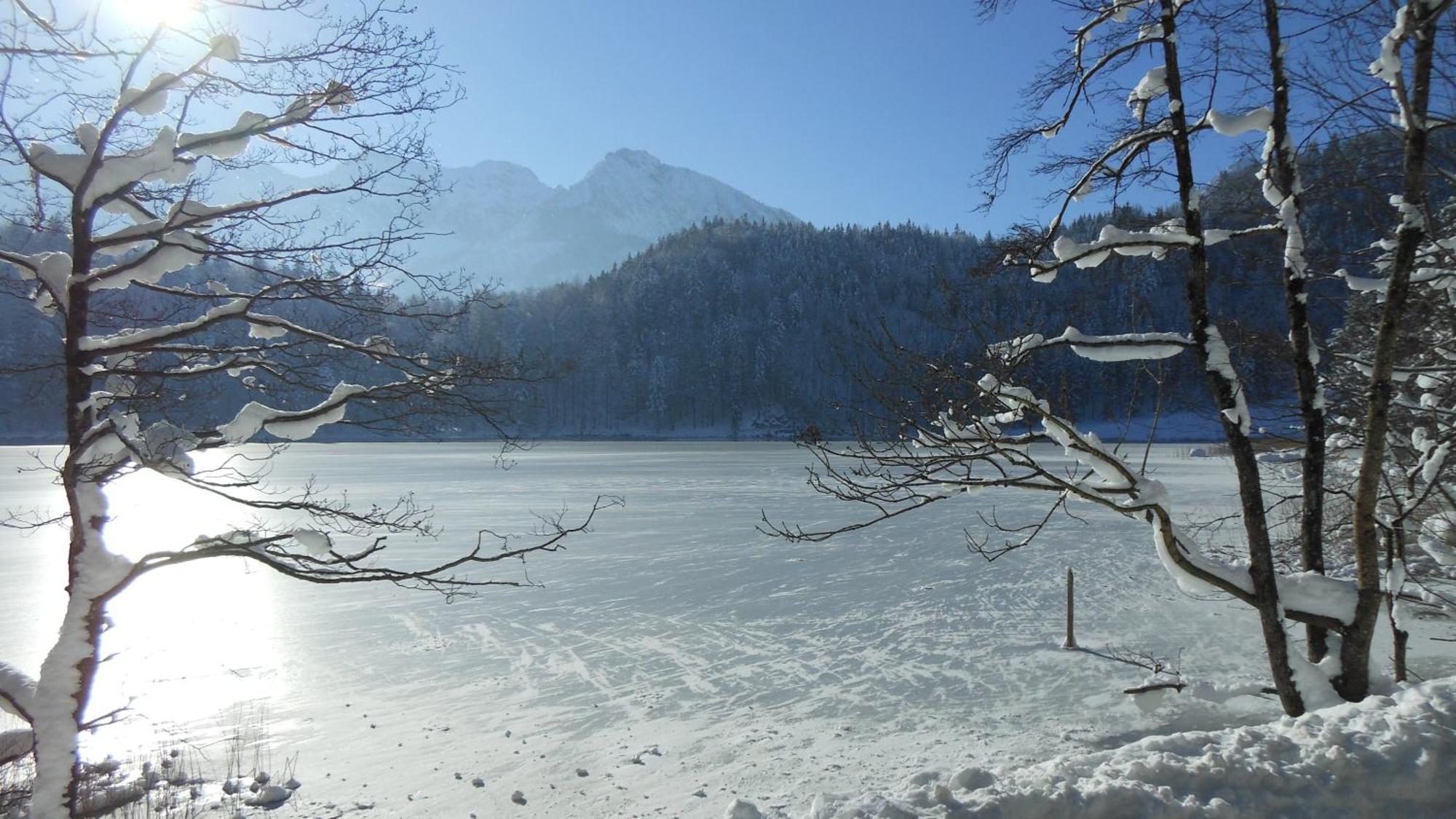 Füssen Fw Weissensee 44 מראה חיצוני תמונה